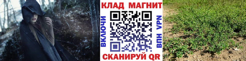 Где купить наркотики Лукоянов Alpha PVP  Меф  Гашиш 