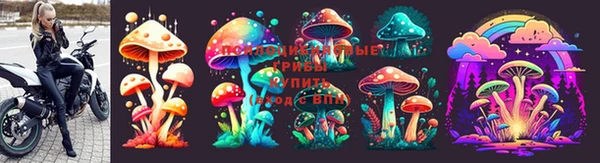 крисы Краснотурьинск