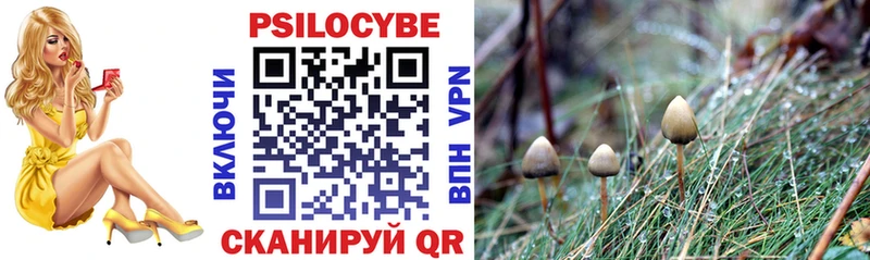 Псилоцибиновые грибы Magic Shrooms  Лукоянов 